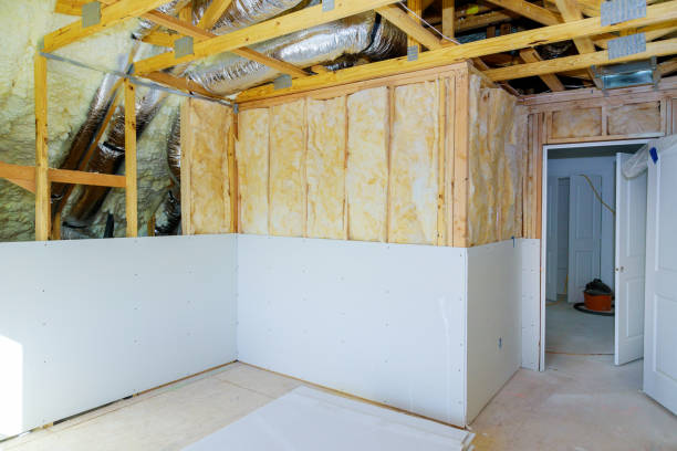 Best Eco-Friendly Insulation in Dwight, IL