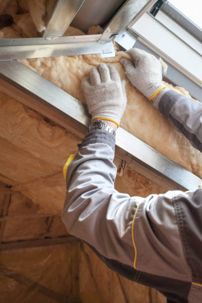 Best Energy Efficiency Insulation in Dwight, IL