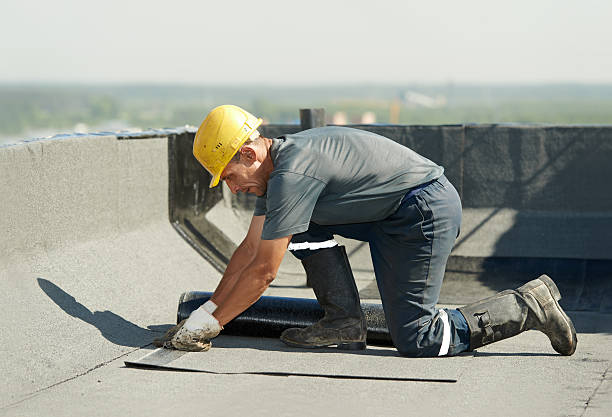Best Eco-Friendly Insulation in Dwight, IL