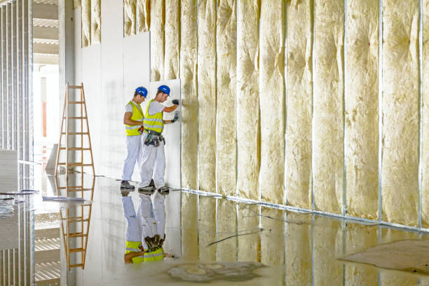 Best Spray Foam Insulation in Dwight, IL